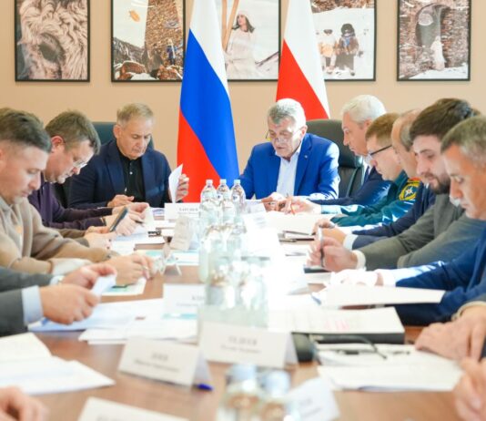 «Мамысон»-ы дарддæры райрæзт
